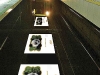 -6_CopyWriting Book_DScully_septrevise_low qual copy
